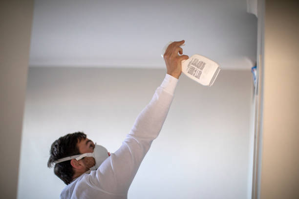 Best Mold Removal Near Me  in Rice, TX
