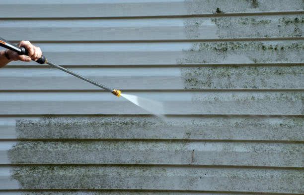 Best Mold Cleaning Services  in Rice, TX