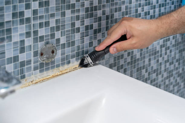  Rice, TX Mold Removal Pros