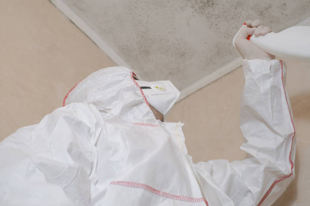 Best Commercial Mold Removal  in Rice, TX